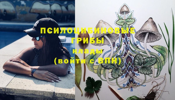 каннабис Богородицк