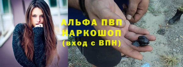 2c-b Бородино